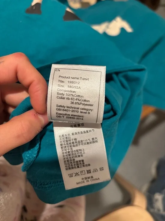 Aelfric Eden Graphic Tee Teal Japanese Text Streetwear Shirt - Picture 6 of 6